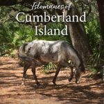 Islomanes of Cumberland Island