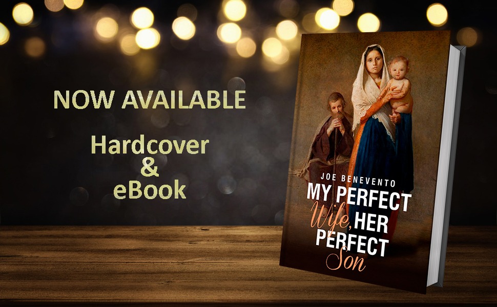 My Perfect Wife, Her Perfect Son by Joe Benevento