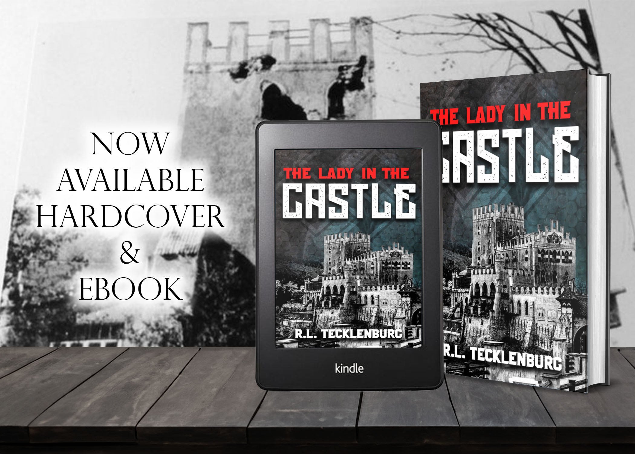 The Lady in the Castle by Robert Tecklenburg,  now available from Histria Books
