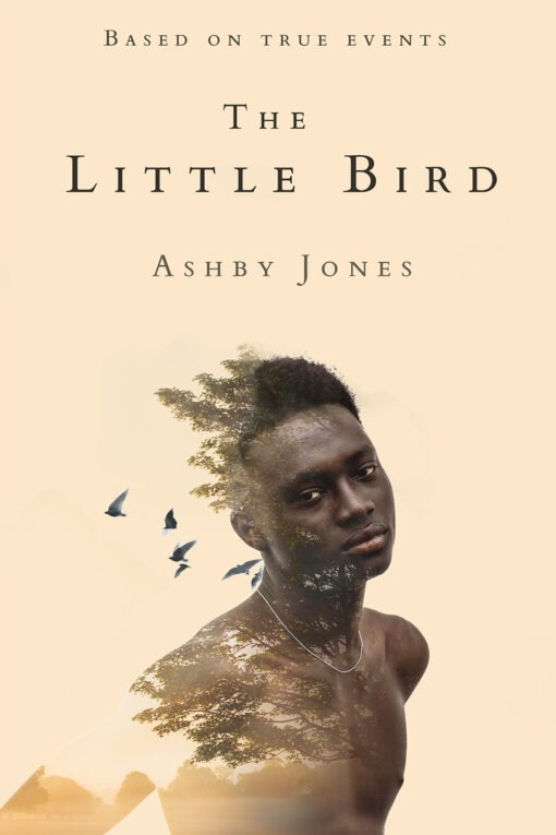 The Little Bird by Ashby Jones