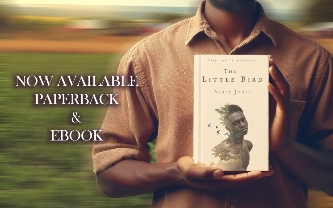 The Little Bird by Ashby Jones, now available from Histria Books