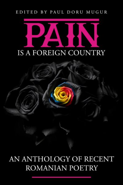 Pain is a Foreign Country by Paul Doru Mugur