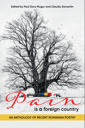 Pain is a Foreign Country by Paul Doru Mugur and Claudiu Komartin